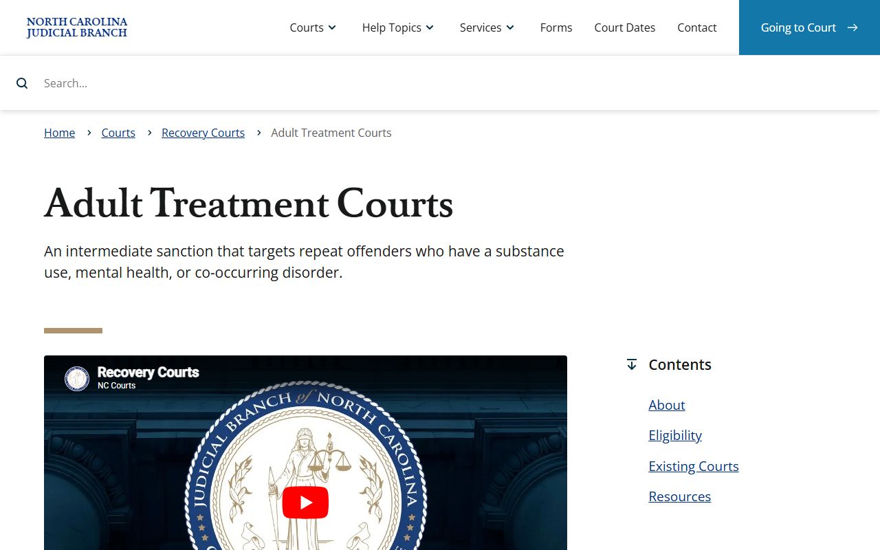 Yancey County criminal court records Adult Treatment Courts listing
